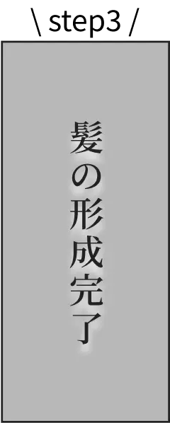 ステップ3 髪の形成完了